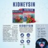 Kidneysin