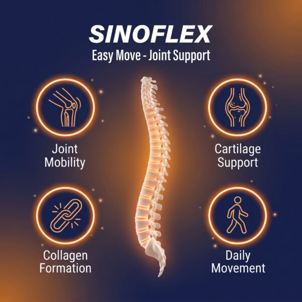 _A_minimalist_infographic_layout_showing_202605031633 Sinoflex