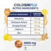 Coldsinflue