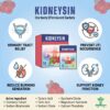 Kidneysin