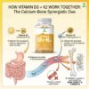 K2 100 mcg