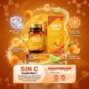 SIN-C 500 (3) Sin C