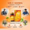 SIN-C500 Sin C